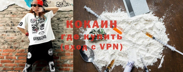 винт Няндома