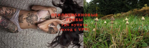 альфа пвп Алексеевка