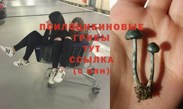 мескалин Алзамай
