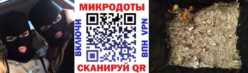 Галлюциногенные грибы Psilocybine cubensis  площадка состав  MEGA ТОР  Курлово  где можно купить наркотик 
